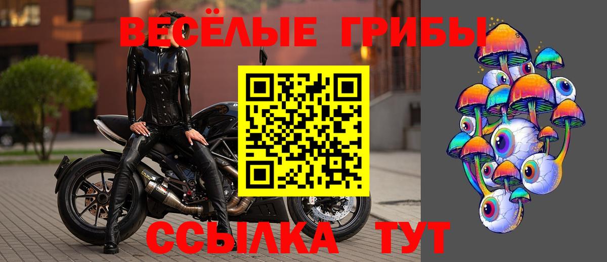 закладка  Галлюциногенные грибы MAGIC MUSHROOMS  Галлюциногенные грибы Magic Shrooms  Вход с VPN  Сердобск 